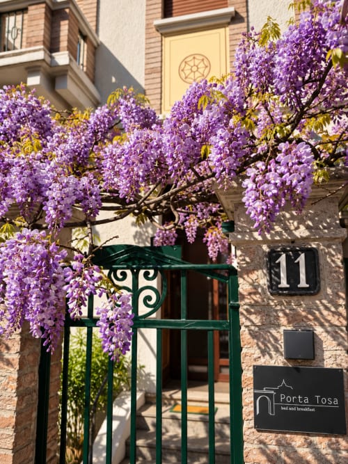 Rigogliose viti di glicine in fiore incorniciano l'ingresso della struttura Porta Tosa bed and breakfast a Milano