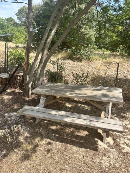 Table de pique-nique en bois sous de grands arbres à la villa Dream Properties à La Teste-de-Buch, avec jardin clôturé et herbe sèche