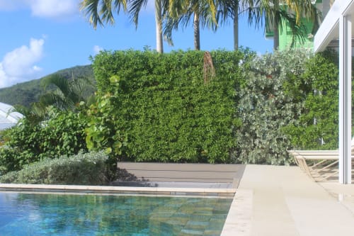 Terrasse piscine Villa Mahogany avec haie verdoyante et salon de conversation, Les Anses d'Arlet