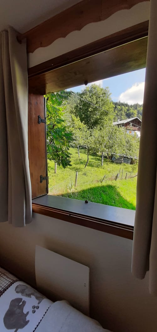 Vue depuis la fenêtre du chalet sur le jardin verdoyant et les paysages montagneux de Feissons-sur-Salins, France