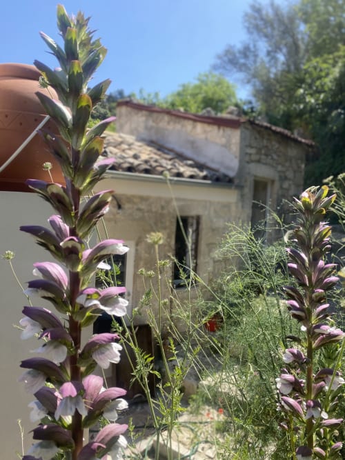 Fiori viola incorniciano villa in pietra a Modica con vista sulla città presso Lovelyloft