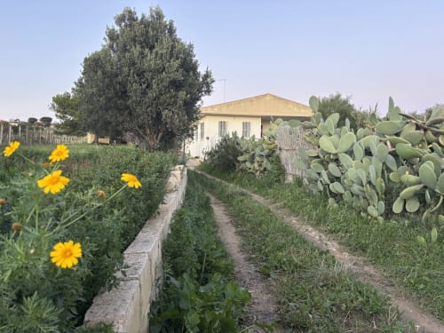Giardino della villa Lovelyloft a Scicli con fiori gialli, piante di fichi d'india e vista sul mare della campagna