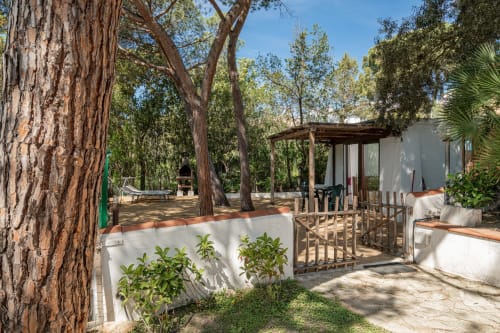 Patio esterna ombreggiata con pergolato in legno e muri bianchi presso Short Let's Olbia, circondata da alberi alti a Olbia, Italia