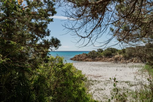 Spiaggia sabbiosa appartata circondata da pini e costa rocciosa, acque azzurre del Mediterraneo presso Short Let's