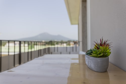 Pianta grassa sul tavolo della terrazza dell'Aurum Nolana Suites a Pompei, con vista montagna e ringhiera