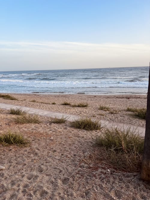 Sandy beach with dune grasses and waves at Calahonda, Marbella - sea view from HomyMarbella