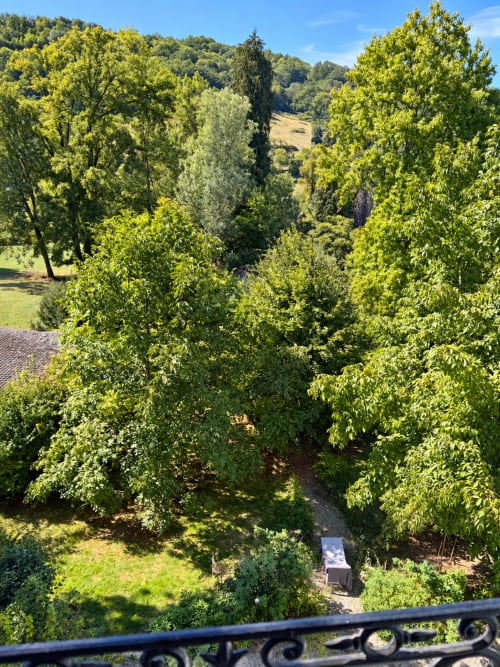 Vue du jardin luxuriant depuis la Chambre Rosalie à la Maison Crone à Castillon-en-Couserans, avec arbres verdoyants et paysage pastoral