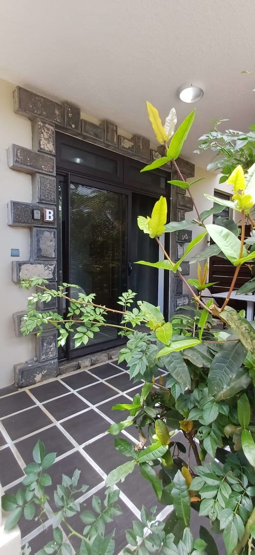 Modern black door entrance to Le Studio apartment at Joubarbe Résidence, Moka, with lush tropical plants