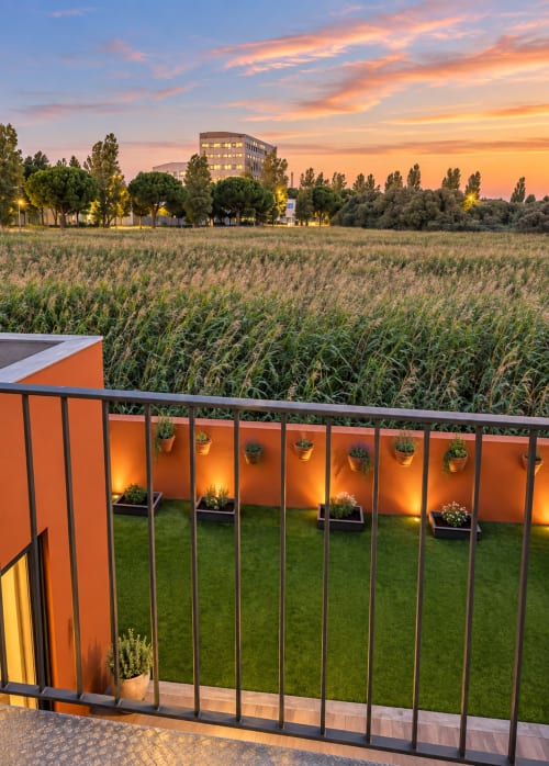 Varanda da House Park BnB em Esposende com vista para campo de milho ao pôr do sol, paredes laranja e jardim verde