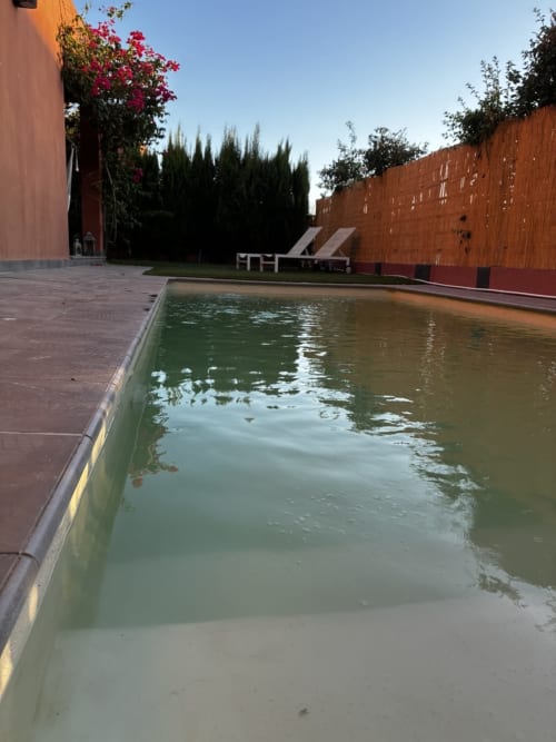 Skydivers Nest pool area with murky water, terracotta walls, cypress trees, and lounge chairs in Bollullos de la Mitación