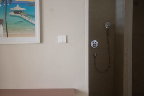 Salle de bain moderne de la Villa Mahogany à INHÉRENCE, Les Anses d'Arlet avec douche et œuvre d'art tropical murale