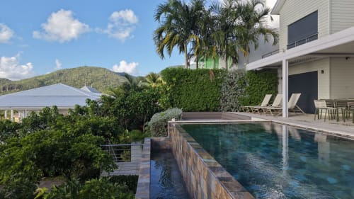 Piscine luxueuse à INHÉRENCE, Le Lamentin avec villa moderne, palmiers et vue sur les montagnes