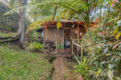 Habitación de glamping Eucalipto en Sukha Glamping en Ríonegro rodeada de exuberante vegetación y árboles