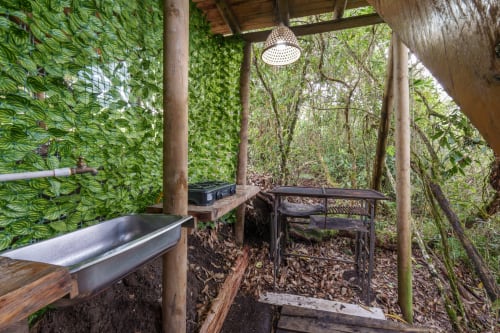 Área de ducha exterior en Sukha Glamping rodeada de exuberante vegetación verde y dosel forestal