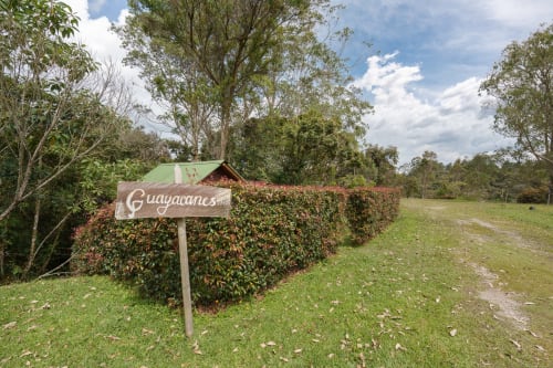 Entrada de la habitación glamping Guayacanes en Sukha Glamping con techo verde y rótulo rústico rodeado de exuberantes jardines en Ríonegro