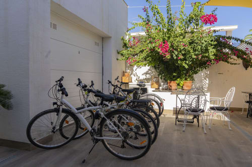 Bicicletas estacionadas en el patio soleado con flores rosas de Cal Xot B&B en Poble Nou del Delta