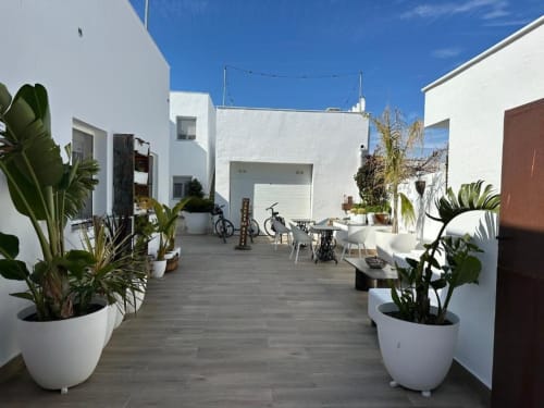 Patio de Cal Xot B&B con edificios blancos, plantas en macetas y zona de descanso en Poble Nou del Delta
