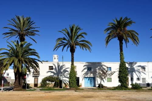 Cal Xot B&B en Poble Nou del Delta con fachada blanca, palmeras y puerta azul