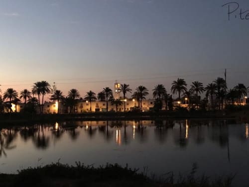 Cal Xot B&B al atardecer con palmeras reflejadas en el agua, Poble Nou del Delta