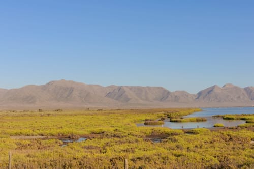 Paisaje pintoresco de humedal en Cal Xot, Poble Nou del Delta, con montañas, laguna azul y marismas doradas