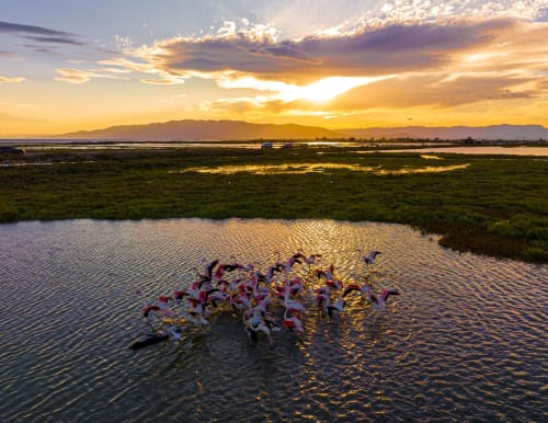 Atardecer en los humedales de Poble Nou del Delta con flamencos en Cal Xot, España