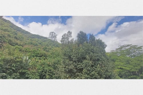 Lush mountain landscape view from Joubarbe Résidence in Moka, Mauritius with verdant hills and blue sky