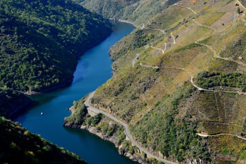 Vista aérea del río azul serpenteando entre montañas boscosas con viñedos en terrazas cerca de Santa Marta, España