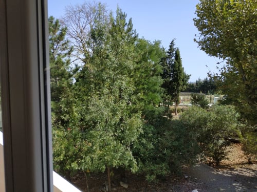 Gartenblick vom Ferienhaus Les Cuves auf dem Domaine Le Piboul, Fontcouverte, mit üppigen Bäumen und mediterraner Landschaft