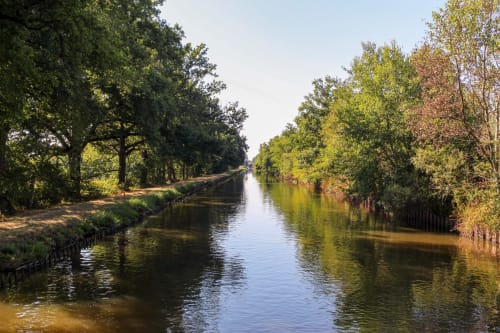 Scenic canal with tree-lined banks near Mably, ideal for Résidence des Sables guests