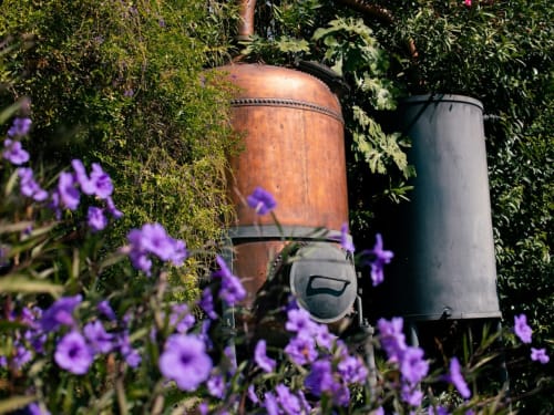 Tonneaux rustiques entourés de fleurs violettes et de lierre grimpant aux M Résidences et Hôtels, France