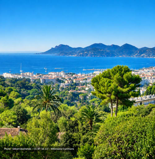 Panoramic view of Cannes coastline with Mediterranean Sea, palm trees, and Esterel Mountains