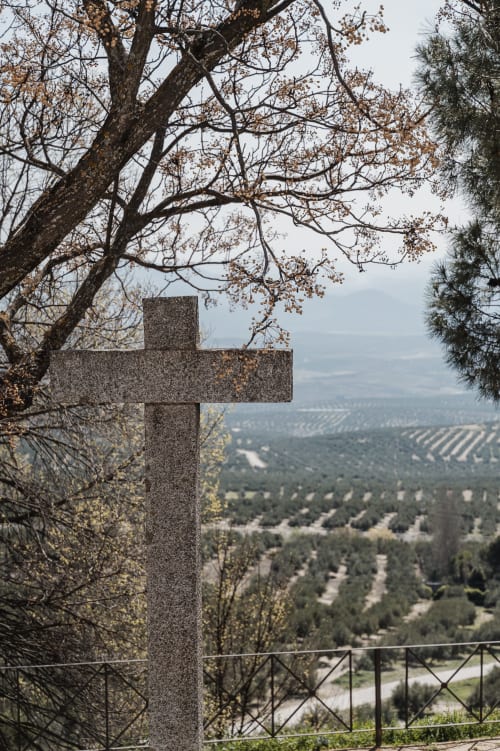 Cruz de piedra con vistas al valle de Baeza, rodeada de olivares y árboles