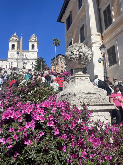Scalinata di Trinità dei Monti a Roma con fiori magenta in fiore, chiesa storica e monumento in pietra sotto cielo azzurro