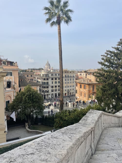 Vista dello skyline di Roma dalla Residenza Clodio vicino Spanish Steps con palma e edifici storici