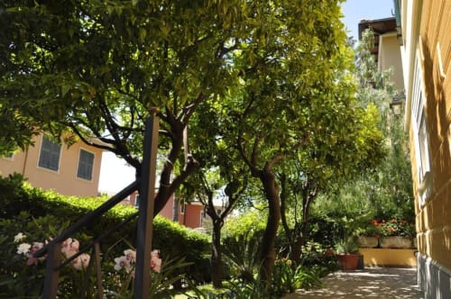 Rigoglioso giardino interno di Hotel Villa Moderna a Genova con alberi maturi, piante fiorite e architettura in terracotta