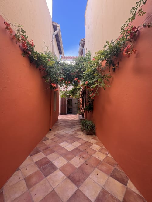 Ruelle étroite de l'hôtel Conciergerie Maurin à Arles avec murs en terre cuite, fleurs rouges et carrelage à motifs géométriques