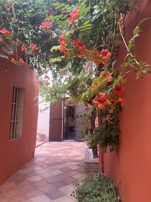 Cour enchanteur à la Conciergerie Maurin d'Arles avec des fleurs rouges éclatantes cascadant sur les murs en terre cuite