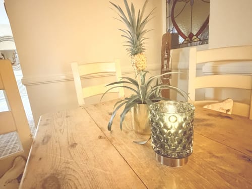 Wooden dining table at The Usk Guest house in Brecon with pineapple plant in decorative pot and chairs