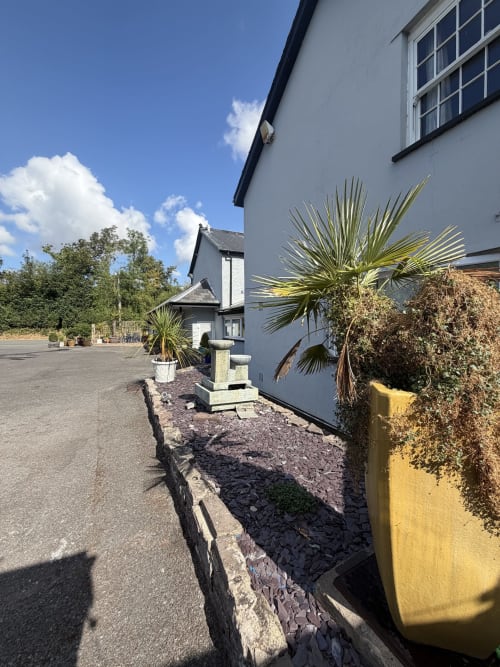 The Usk Guest house driveway in Brecon with white stone cottage, palm plants, and mountain views