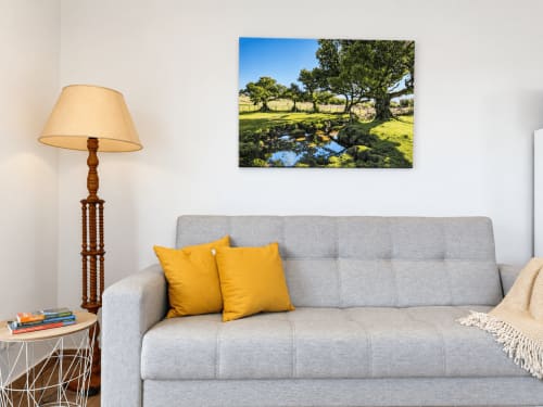 Cozy living room at Check Madeira villa in Ribeira Brava with gray sofa, yellow pillows, and pastoral landscape artwork