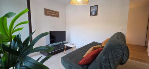 Salon cosy de l'appartement NN Patrimoine à Douvaine avec canapé gris, télévision, plante verte et décoration moderne