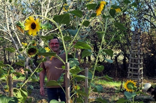 Man smiling among tall sunflowers in garden at Aux Prés Du Berry, Chavin, France