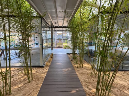 Pasarela ajardinada con bambú y terraza de madera en apartamento Holibai, Baiona, España