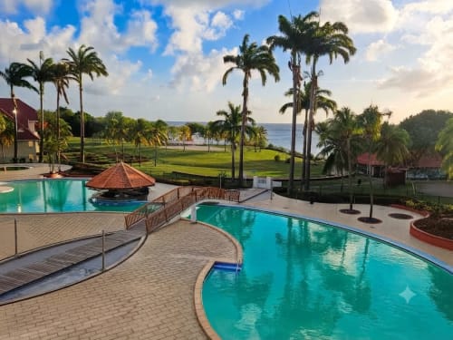 Espace piscine TI OASIS à Sainte-Luce avec bassins turquoise, palmiers et vue sur la mer des Caraïbes