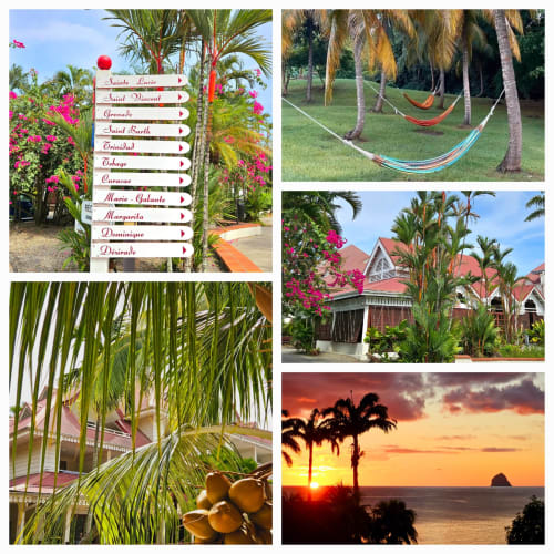 Ti Oasis Sainte-Luce: resort tropical avec hamacs, palmiers, bougainvillées roses, architecture coloniale et coucher de soleil sur l'océan