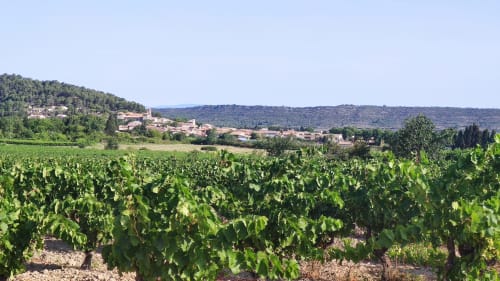 Vineyard view with Fontcouverte village on hillside, Domaine Le Piboul