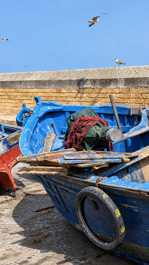 Bateaux de pêche bleus au port d'El Ghazouane avec des mouettes volant dans un ciel dégagé