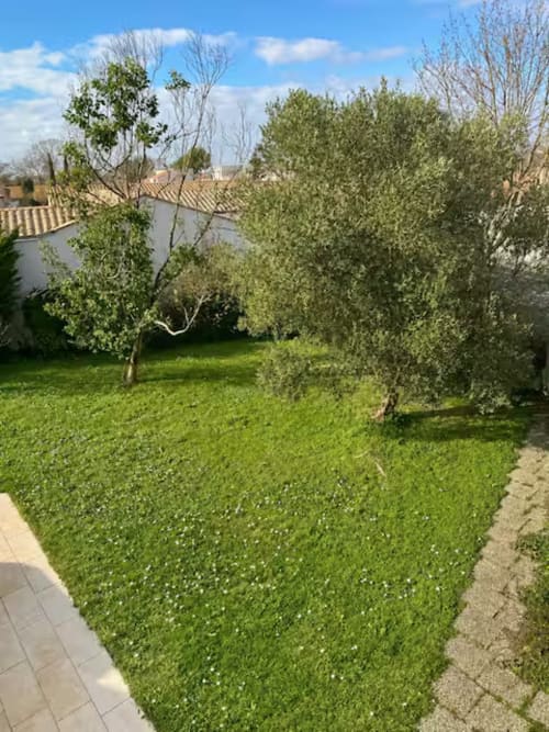 Jardin verdoyant de la Villa Alba à La Rochelle avec oliviers et allée pavée