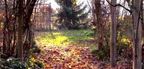 Autumn garden pathway at Aux Prés Du Berry B&B in Chavin, France, with fallen leaves and evergreen trees
