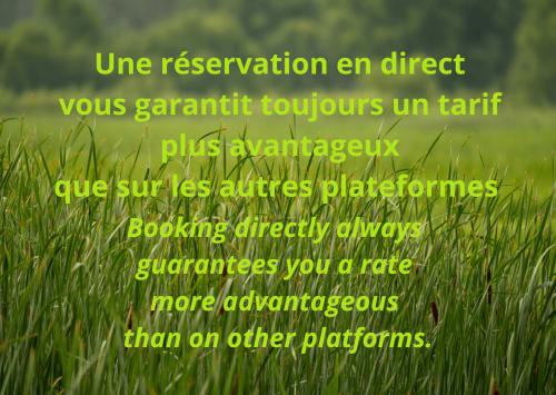 Paysage de champ vert avec message promotionnel pour le gîte Domaine de l'Ocrerie à Pourrain